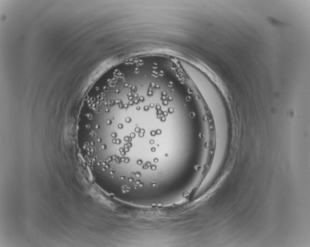 X0000081571001200701291210