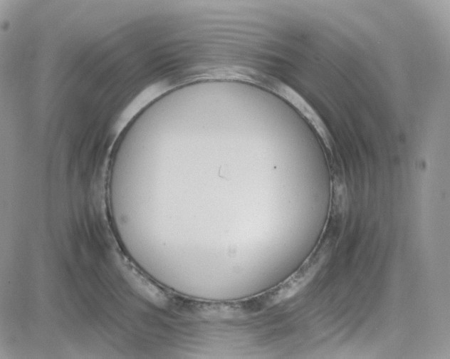 X0000081571002200701291210