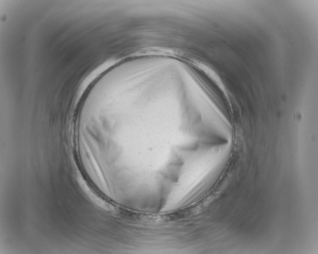 X0000081571003200701291210