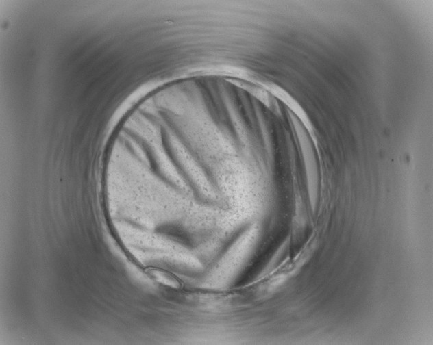 X0000081571005200701291210