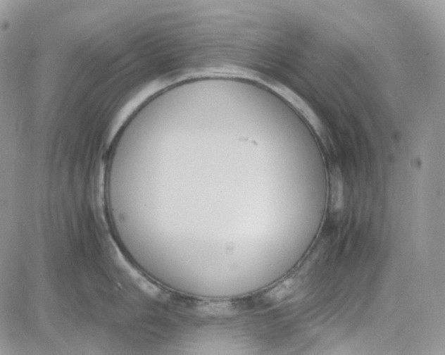 X0000081571006200701291210