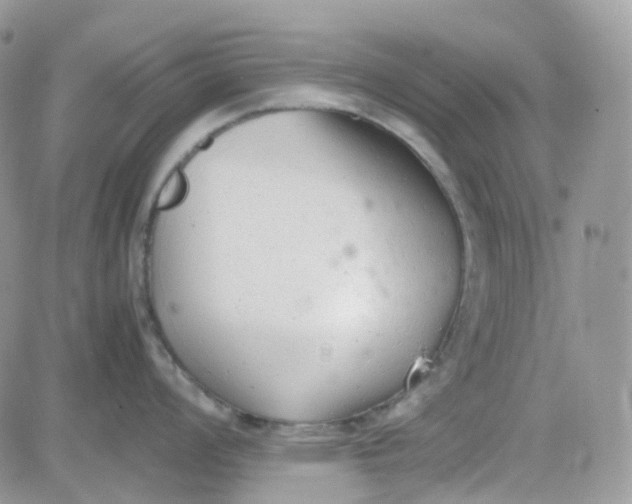 X0000081571008200701291210