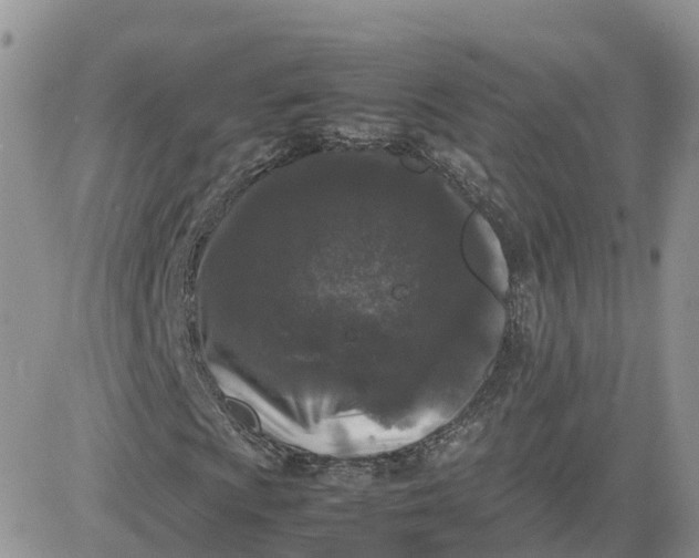 X0000081571009200701291209