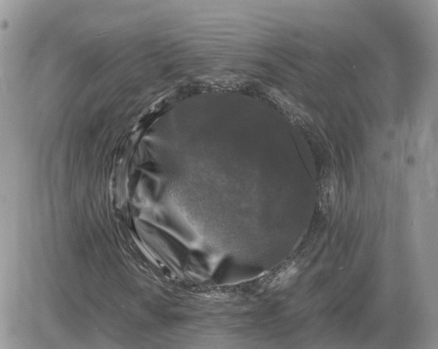 X0000081571010200701291209