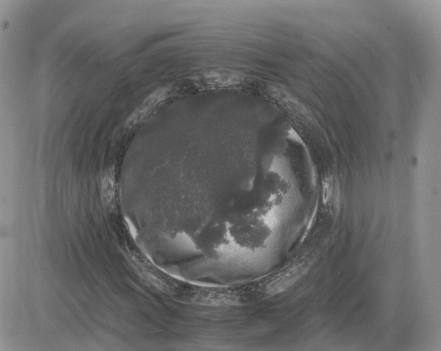 X0000081571011200701291209