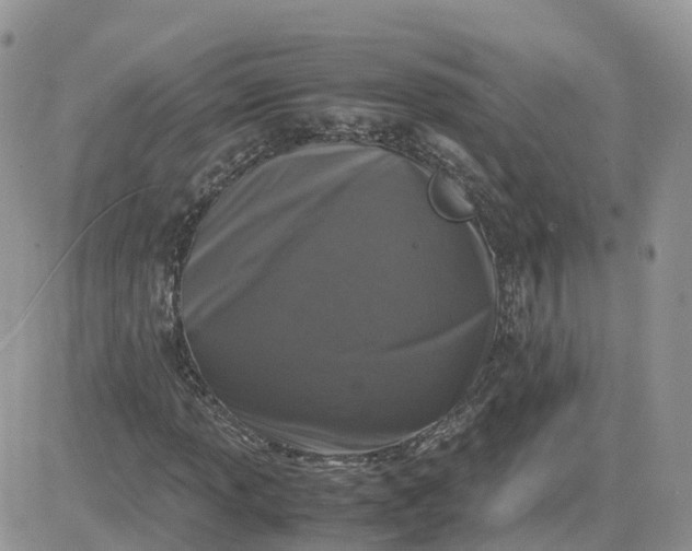 X0000081571013200701291209