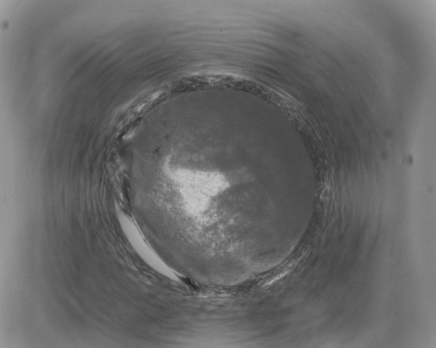 X0000081571014200701291209