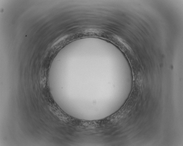 X0000081571015200701291209