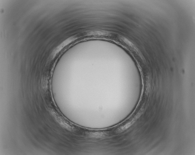 X0000081571017200701291209