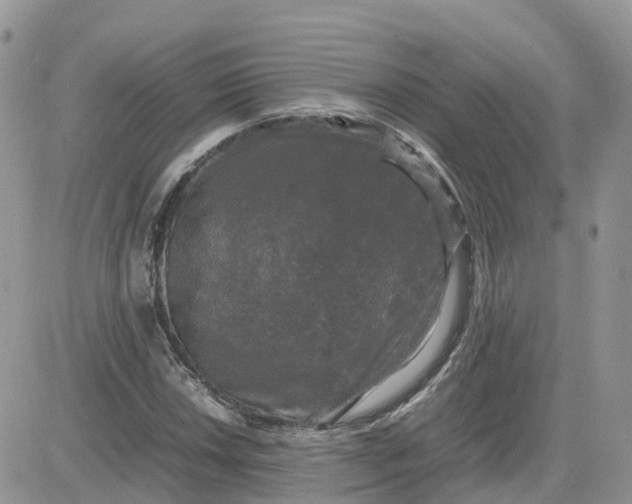 X0000081571018200701291209