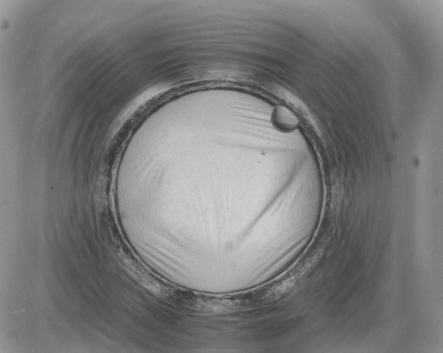 X0000081571019200701291209