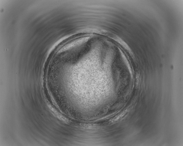 X0000081571020200701291209