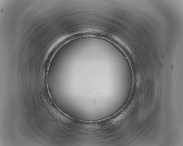 X0000081571021200701291209