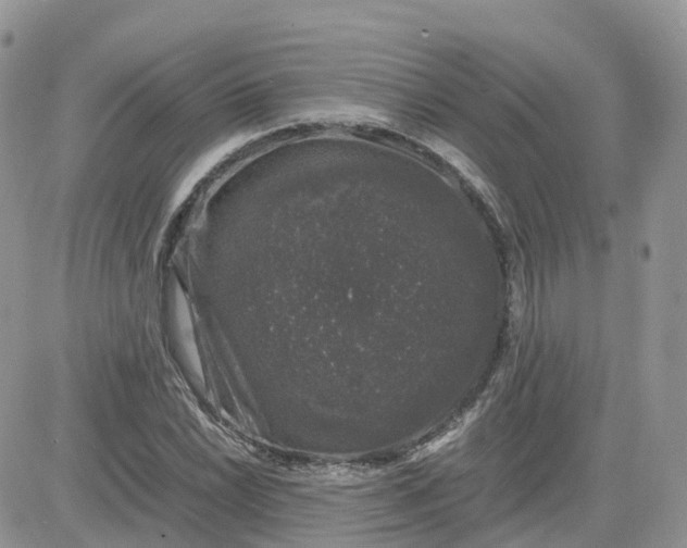 X0000081571022200701291209