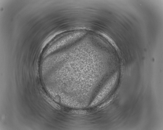 X0000081571023200701291209