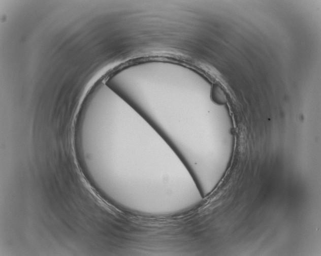 X0000081571024200701291209