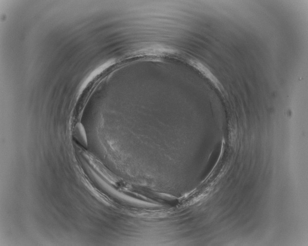 X0000081571026200701291209