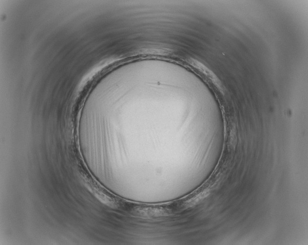 X0000081571027200701291209