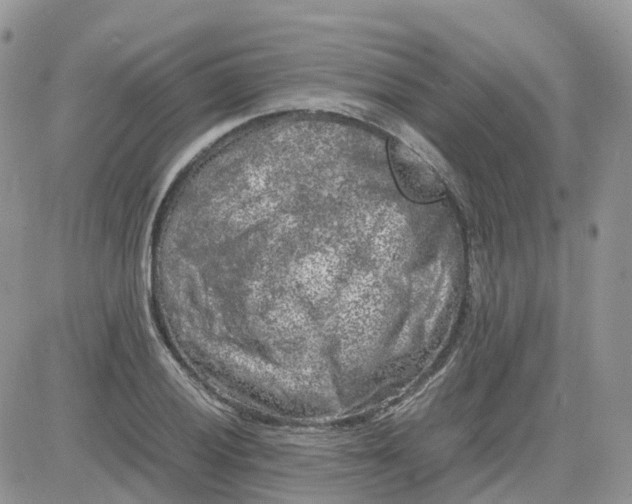 X0000081571028200701291210