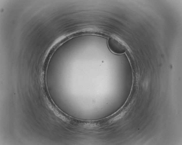 X0000081571029200701291210