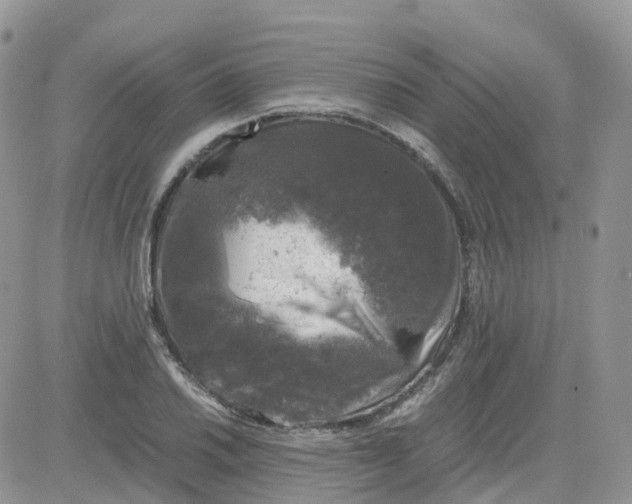 X0000081571030200701291210