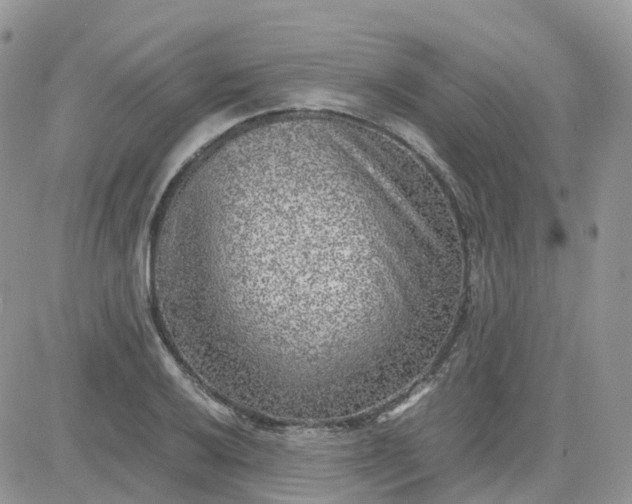 X0000081571032200701291210