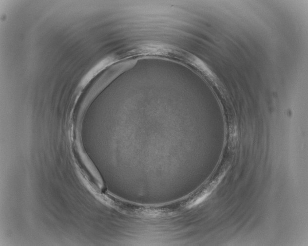 X0000081571034200701291210