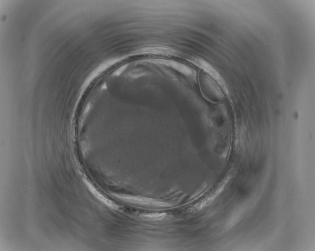 X0000081571037200701291210