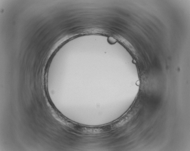 X0000081571039200701291210