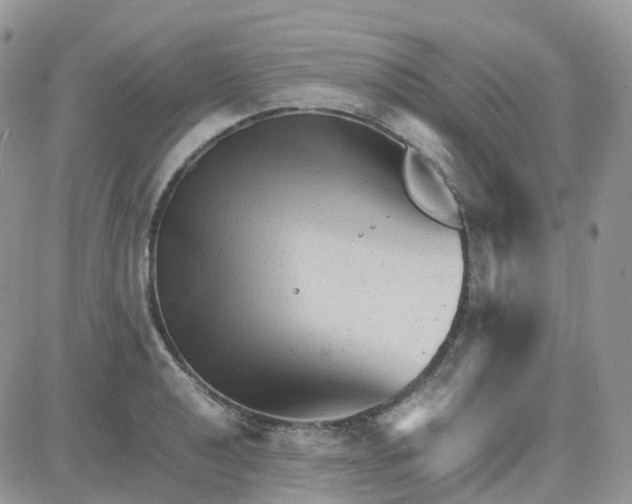 X0000081571040200701291210