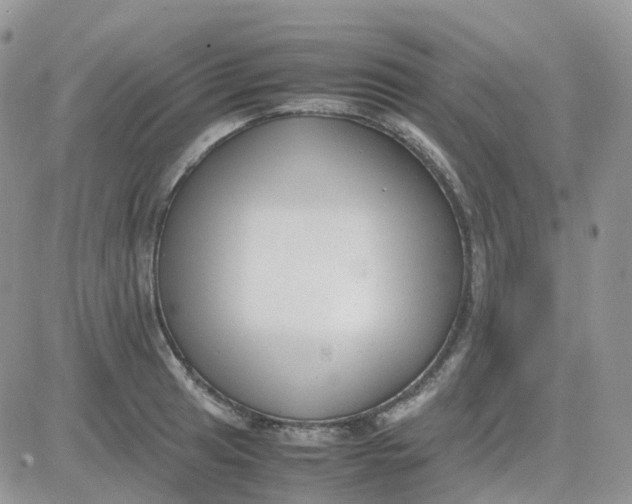 X0000081571041200701291210