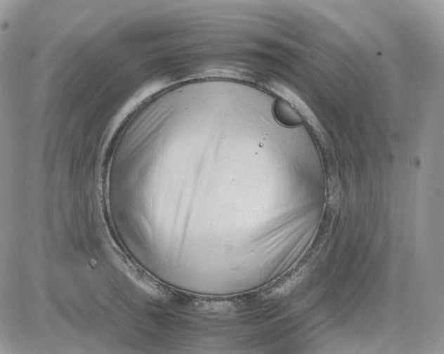 X0000081571043200701291210