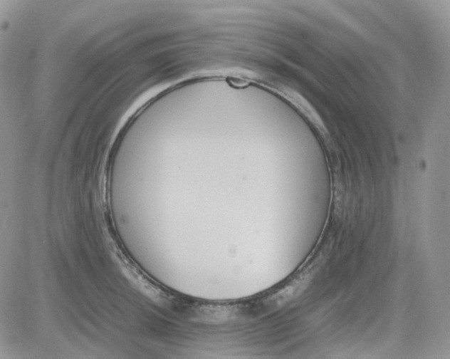 X0000081571044200701291210