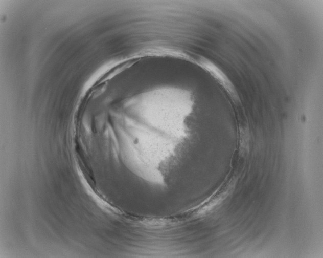 X0000081571046200701291210