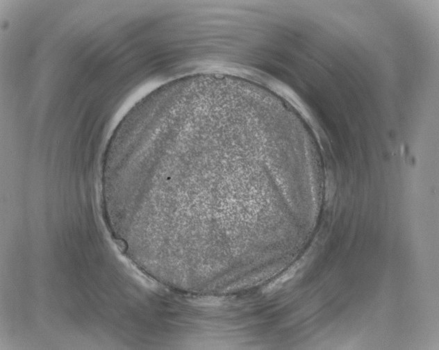 X0000081571048200701291210