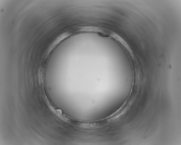 X0000081571049200701291210