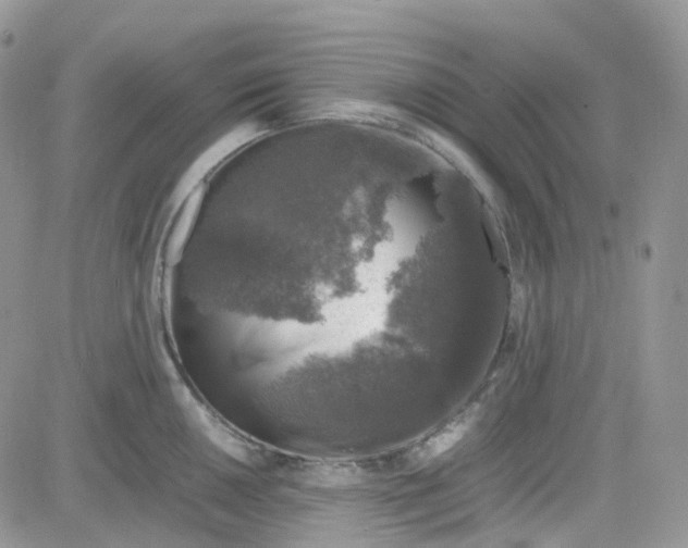 X0000081571050200701291210