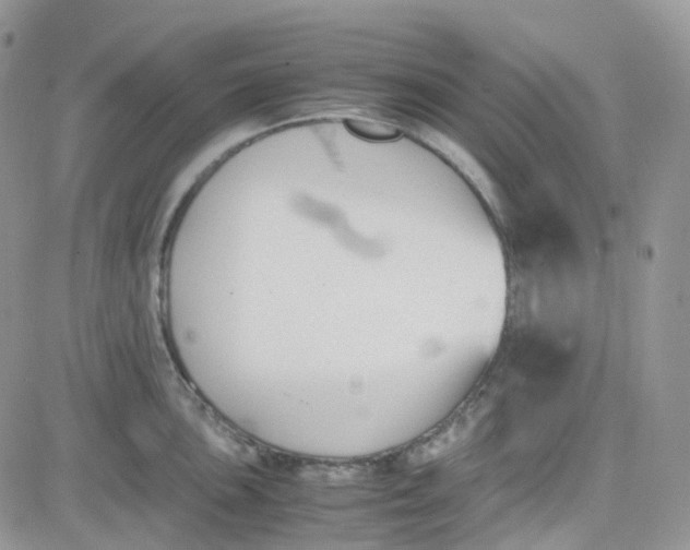 X0000081571051200701291210