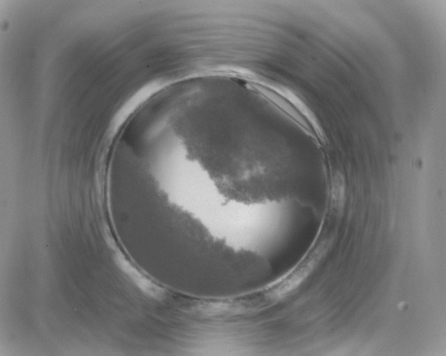 X0000081571054200701291210