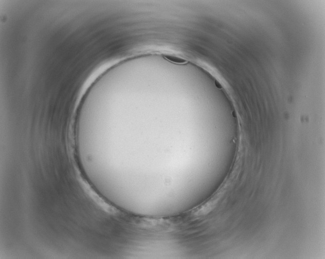 X0000081571056200701291210