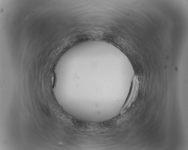 X0000081571057200701291209