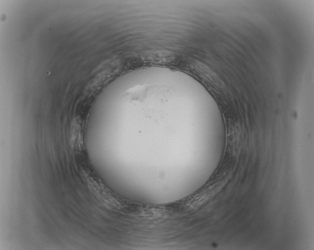 X0000081571058200701291209