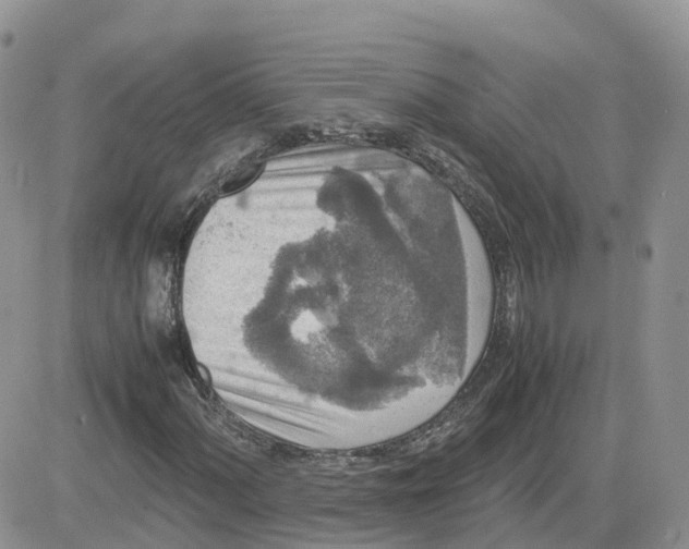 X0000081571060200701291209