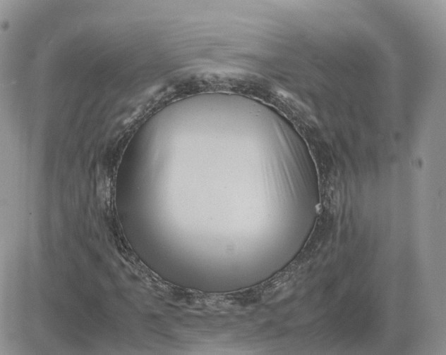 X0000081571061200701291209