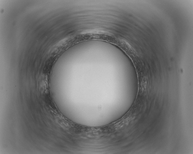 X0000081571062200701291209