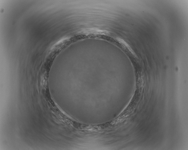 X0000081571063200701291209