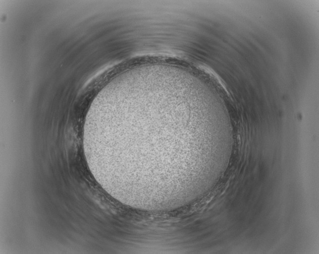 X0000081571064200701291209