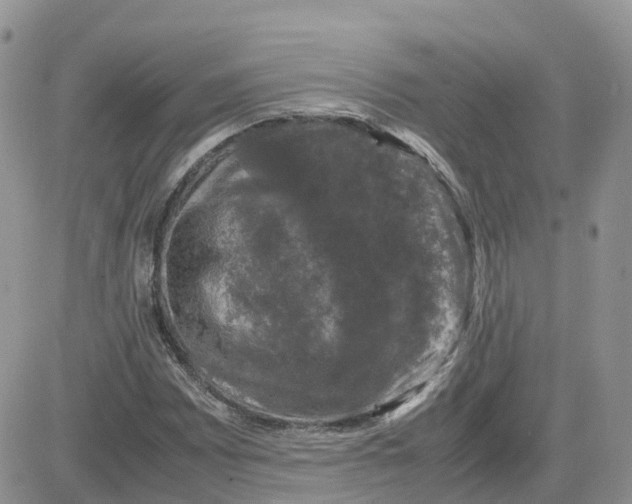 X0000081571065200701291209