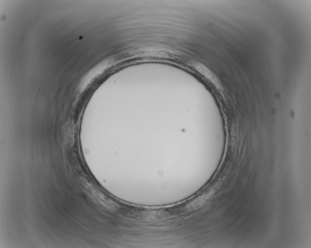 X0000081571067200701291209