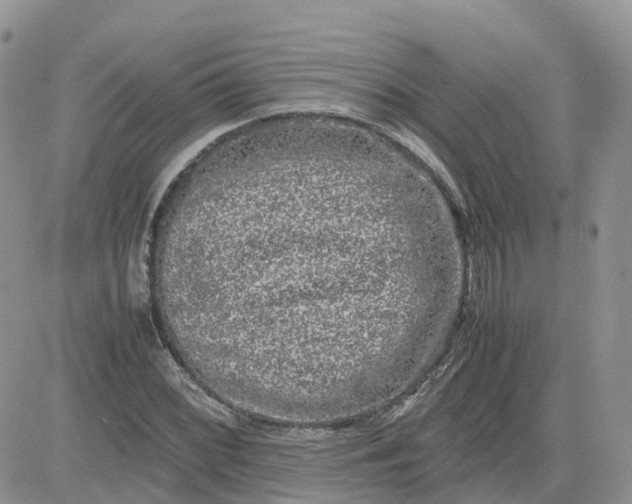 X0000081571068200701291209